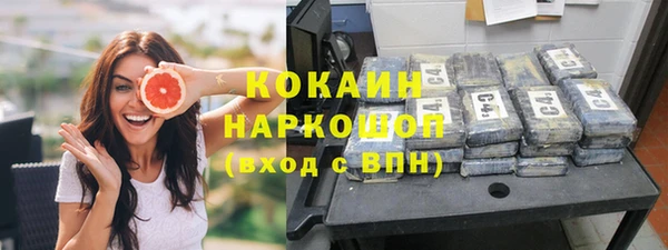 сатива Волоколамск