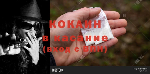 сатива Волоколамск