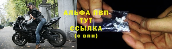 молекула духа Волосово