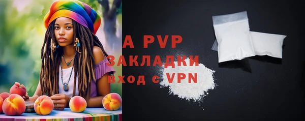 сатива Волоколамск