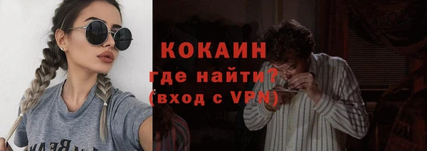 сатива Волоколамск