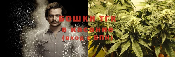 молекула духа Волосово