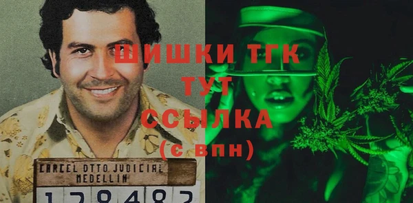 сатива Волоколамск