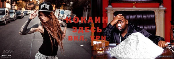 молекула духа Волосово