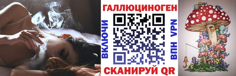 Купить где  Кудымкар  Псилоцибиновые грибы мицелий 