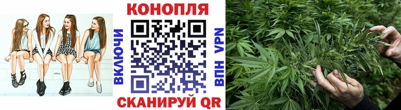 Бошки марихуана тримм  Купить где  Кудымкар 